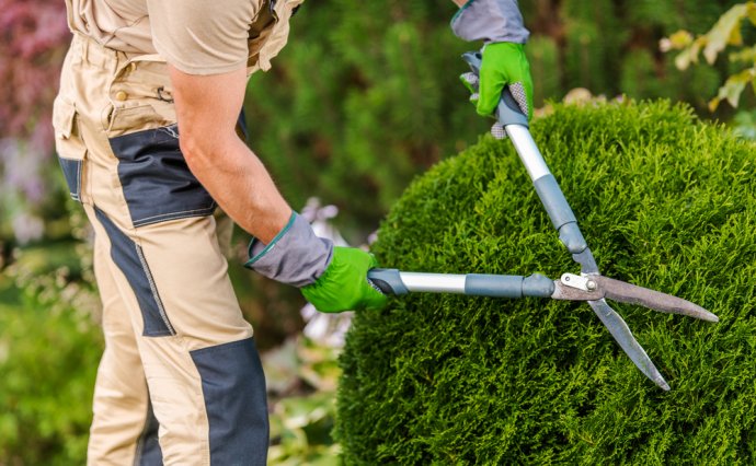 Why You Should Hire a Landscaper